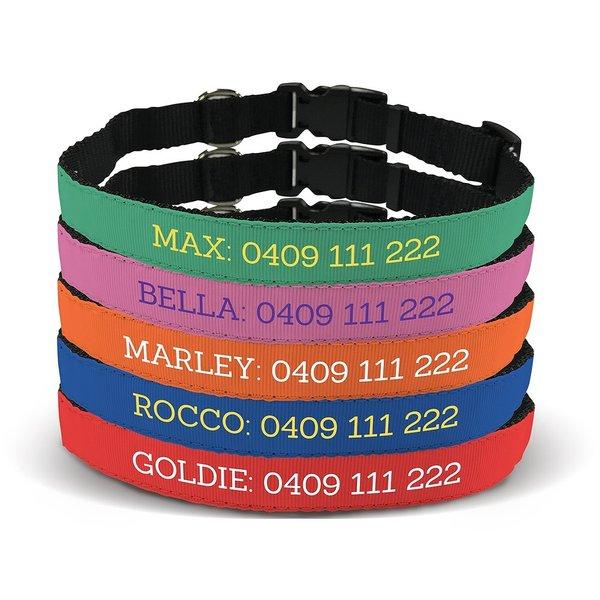 Standard Pet Collar - Large