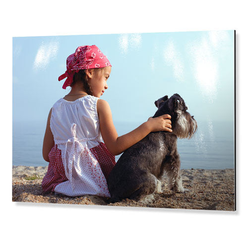 16x20" (40x50cm) Metal Print